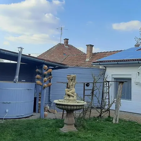 Harmonia Проживание в семье *